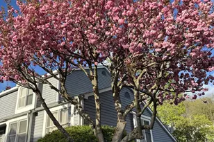 16 Fawn Ridge Ln, Wilton, CT 06897 - Photo 34