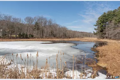 672 Route 81, Killingworth, CT 06419 - Photo 40