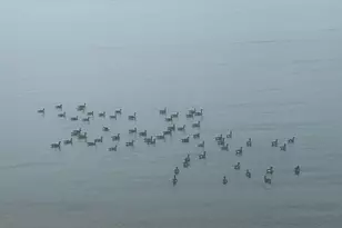 2 Old Town Hwy, East Haven, CT 06512 - Photo 36