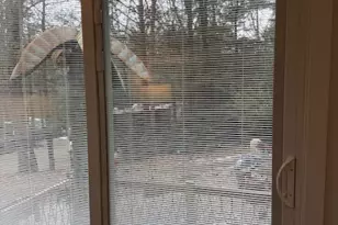 51 Old Springfield Rd, Stafford, CT 06076 - Photo 10