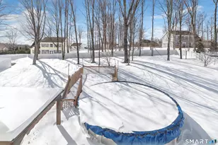 9 Fox Run Ln, Seymour, CT 06483 - Photo 32