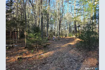 96 Burdick Lane, Griswold, CT 06351 - Photo 6