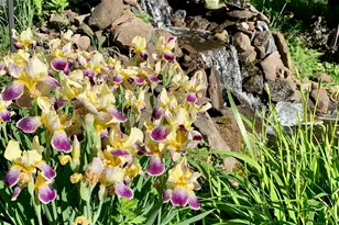 153 Country Club Rd, Middletown, CT 06457 - Photo 36