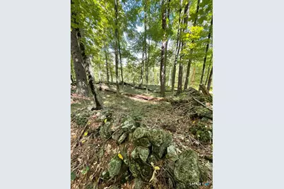 Kozey Road, Eastford, CT 06242 - Photo 12