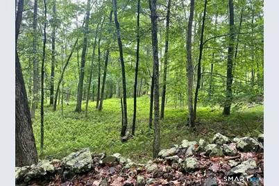 Kozey Road, Eastford, CT 06242 - Photo 4