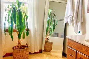 9 Belleau Ave, Norwich, CT 06360 - Photo 20