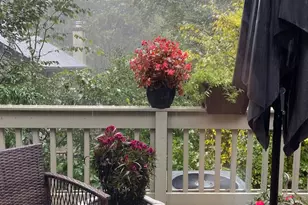 24 Fox Run, Woodbury, CT 06798 - Photo 10