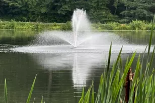 24 Fox Run, Woodbury, CT 06798 - Photo 24