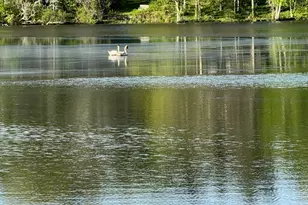 24 Fox Run, Woodbury, CT 06798 - Photo 28