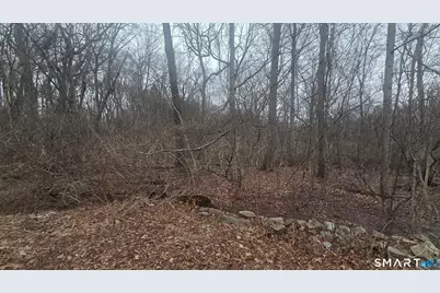 270 Old Colchester Road, Salem, CT 06420 - Photo 2