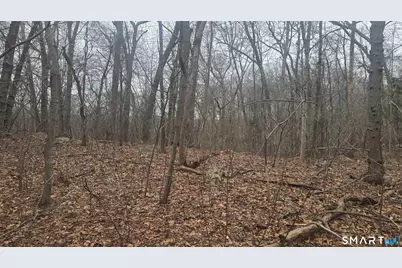 270 Old Colchester Road, Salem, CT 06420 - Photo 8