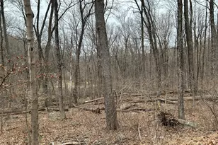 79 Rita Dr, New Fairfield, CT 06812 - Photo 8