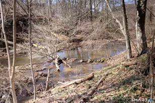 1187 Mt Carmel Ave, North Haven, CT 06518 - Photo 10