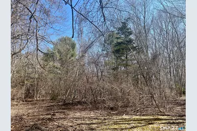 Reilly Road, Hampton, CT 06427 - Photo 6