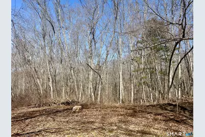 Reilly Road, Hampton, CT 06427 - Photo 4