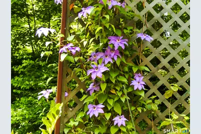 208 Cascade Road, Stamford, CT 06903 - Photo 28