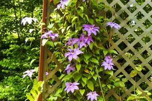 208 Cascade Rd, Stamford, CT 06903 - Photo 28