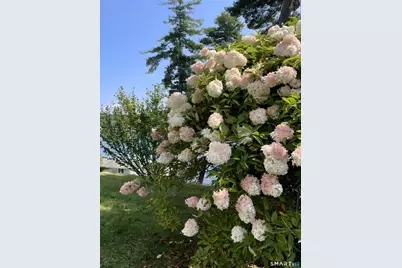 431 West Wakefield Boulevard, Winchester, CT 06098 - Photo 10