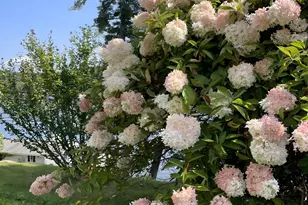 431 W Wakefield Blvd, Winchester, CT 06098 - Photo 10