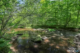 42 Mill Stone Dr, Guilford, CT 06437 - Photo 34