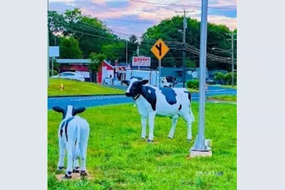 605 Wolcott Road, Wolcott, CT 06716 - Photo 4