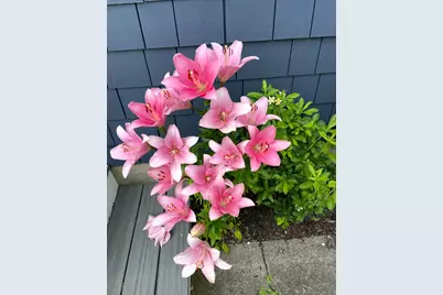 42 Taylor Avenue, Madison, CT 06443 - Photo 16