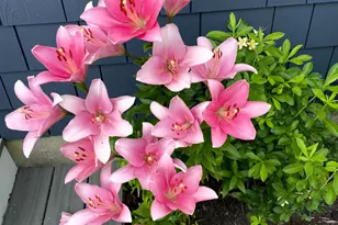 42 Taylor Ave, Madison, CT 06443 - Photo 16