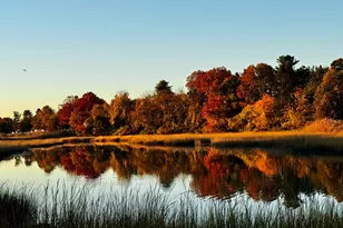 4 Sherwood Island Ln, Westport, CT 06880 - Photo 10