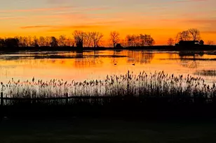 4 Sherwood Island Ln, Westport, CT 06880 - Photo 6