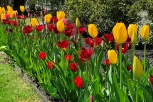 58 Rixtown Rd, Griswold, CT 06351 - Photo 2