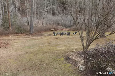 361 Mount Parnassus Road, East Haddam, CT 06423 - Photo 30