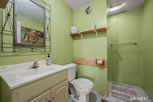 76 Cowles Rd, Woodbury, CT 06798 - Photo 36