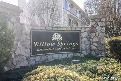 196 Willow Springs #196, New Milford, CT 06776 - Photo 30