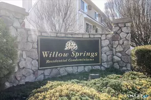 196 Willow Springs, New Milford, CT 06776 - Photo 30