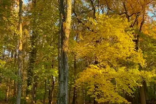 86 Middlesex Rd, Darien, CT 06820 - Photo 26