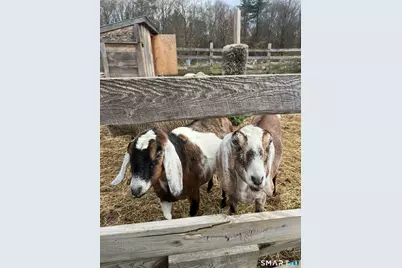 330 Ledge Drive, Torrington, CT 06790 - Photo 24