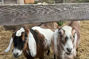 330 Ledge Dr, Torrington, CT 06790 - Photo 24