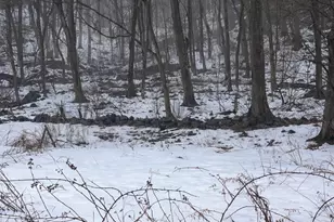 46 Sunnyside Ave, Norwich, CT 06360 - Photo 1