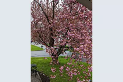 29 Longview Drive, Brookfield, CT 06804 - Photo 12