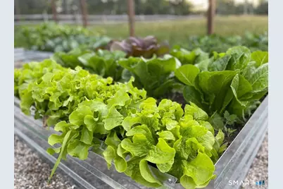 12 Jackson Road, Killingworth, CT 06419 - Photo 36