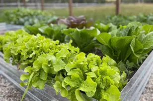 12 Jackson Rd, Killingworth, CT 06419 - Photo 38