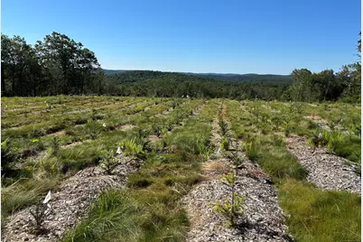 00 Prock Hill Road, Colebrook, CT 06021 - Photo 6