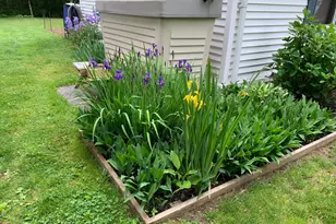 18 Quail Rd, Colchester, CT 06415 - Photo 30