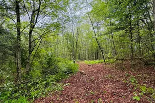 18 Ledge Hill Rd, Sterling, CT 06377 - Photo 1