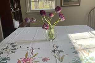 13 Park Ct, East Lyme, CT 06357 - Photo 8