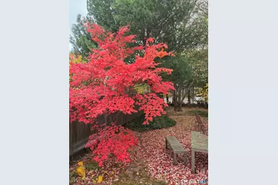 258 Saint John Street, New Haven, CT 06511 - Photo 20