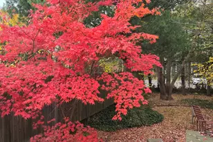 258 St John St, New Haven, CT 06511 - Photo 20