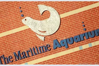 247 East Avenue #2, Norwalk, CT 06855 - Photo 14