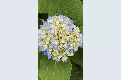 32 Jackson Road, Enfield, CT 06082 - Photo 14