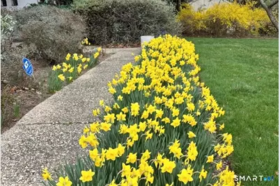 15 Very Merry Road, Stamford, CT 06903 - Photo 6